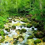 Haus Hepi Гостевой дом Обертраун