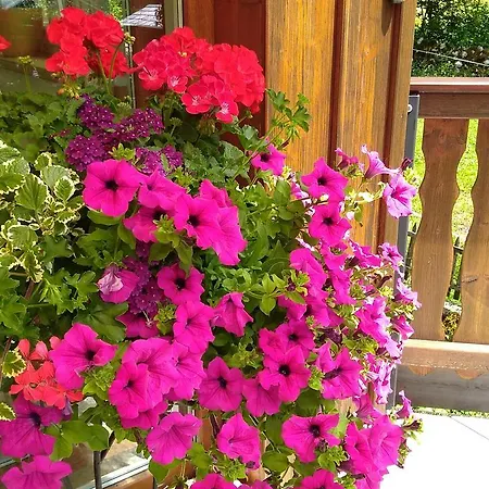 Affittacamere Haus Hepi Obertraun