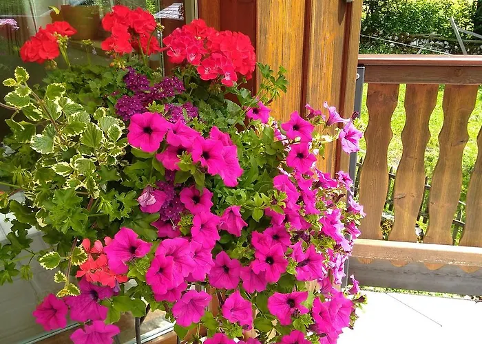 Guest house Haus Hepi Obertraun