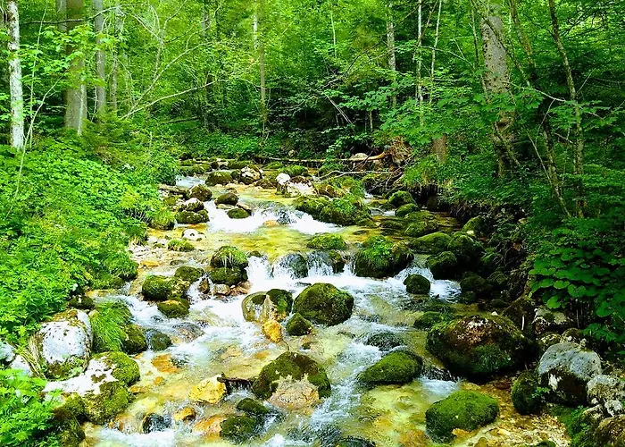 Haus Hepi Guest house Obertraun