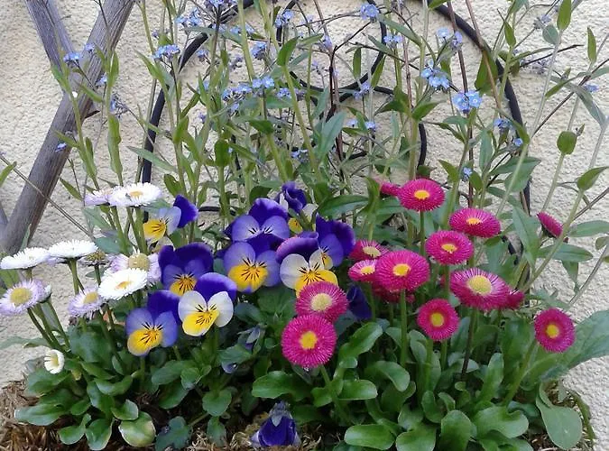 Haus Hepi Гостевой дом Обертраун