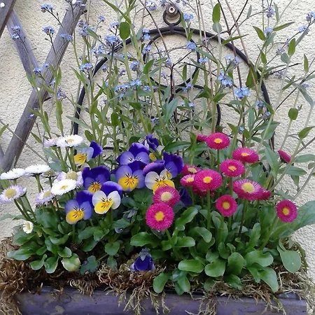 Haus Hepi Πανσιόν Όμπερτραουν